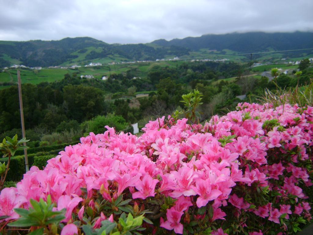 ホテル Quinta Do Quarteiro ポヴォアサン エクステリア 写真